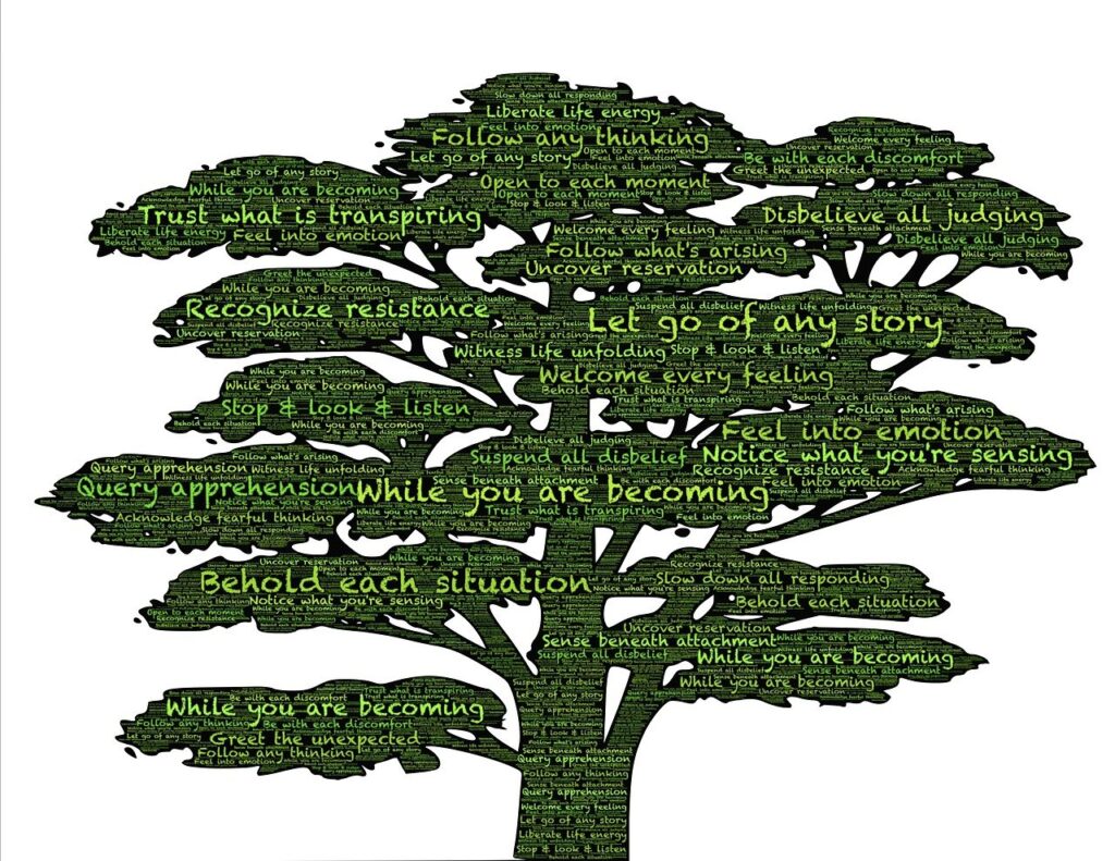 ## 1. Mindset  Mental Models