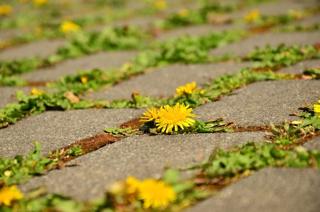 30. How Do I Say No To Others Without Feeling Guilty?